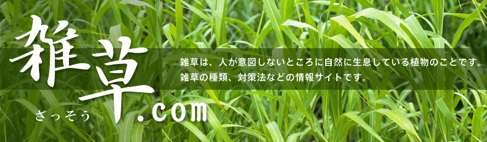 日本の雑草.com 人が意図しないところに自然に生息している植物のことです。